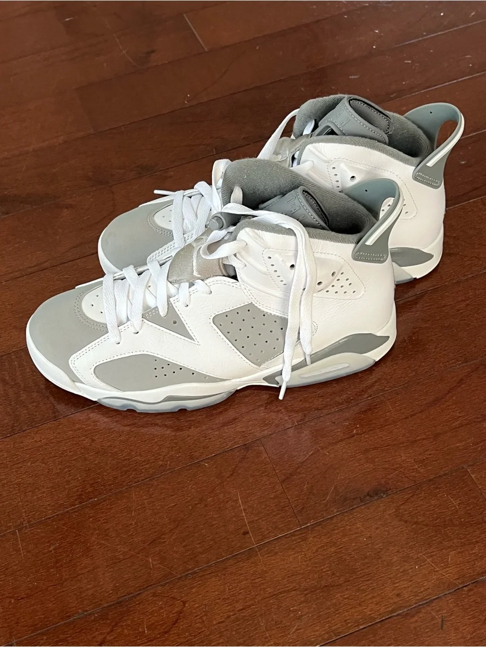 Jordan Grey & White Sneaker Interior with Size Tag